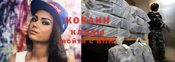 дживик Каменка