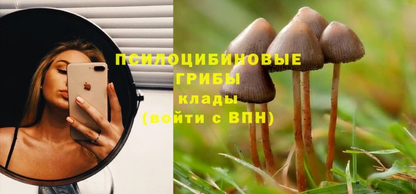 дживик Каменка