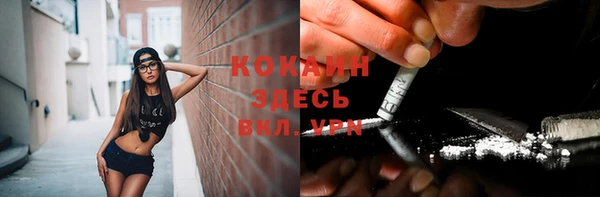 эйфоретик Каменногорск