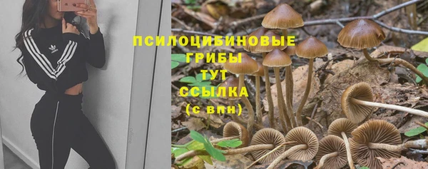 эйфоретик Каменногорск