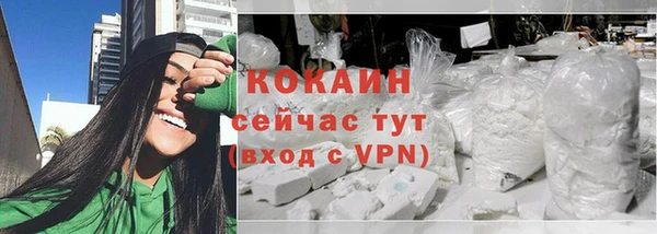дживик Каменка